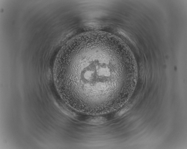 X0000073750459200608031433