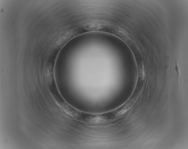 X0000073750460200608031433