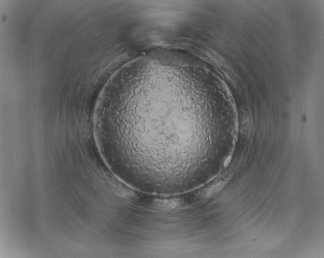 X0000073750469200608031434