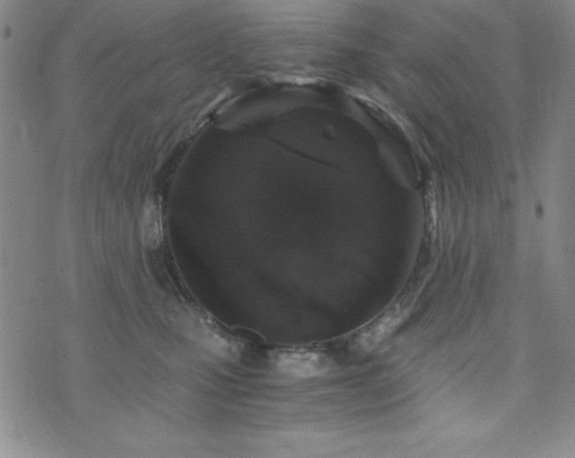 X0000073750471200608031434