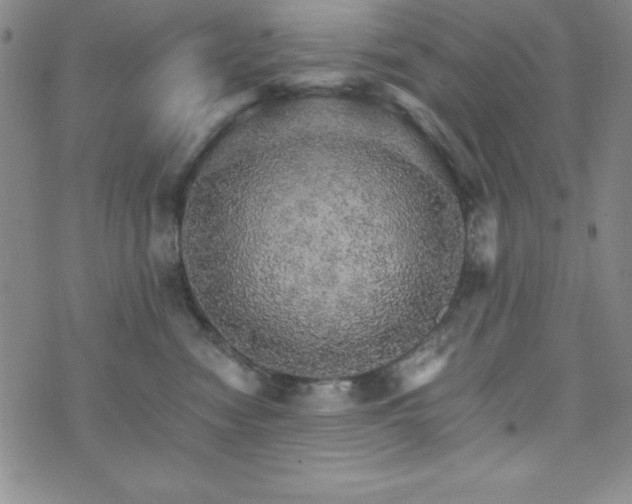 X0000073750474200608031434