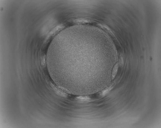 X0000073750477200608031434