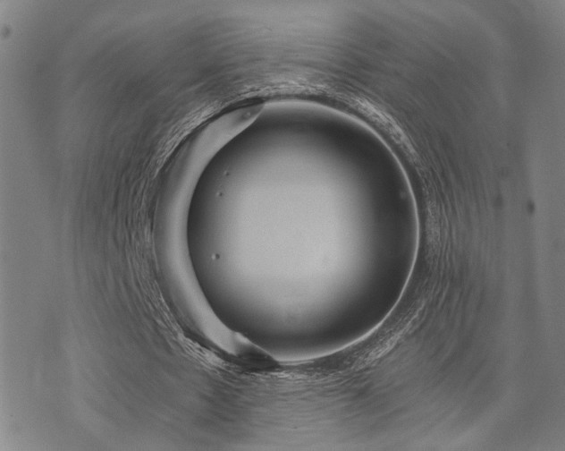 X0000073750481200608031433