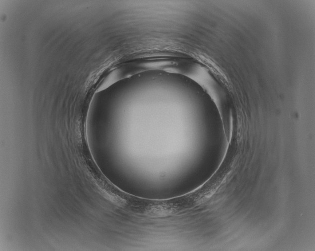 X0000073750489200608031433