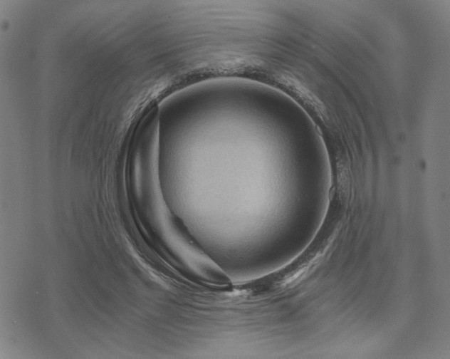 X0000073750493200608031433