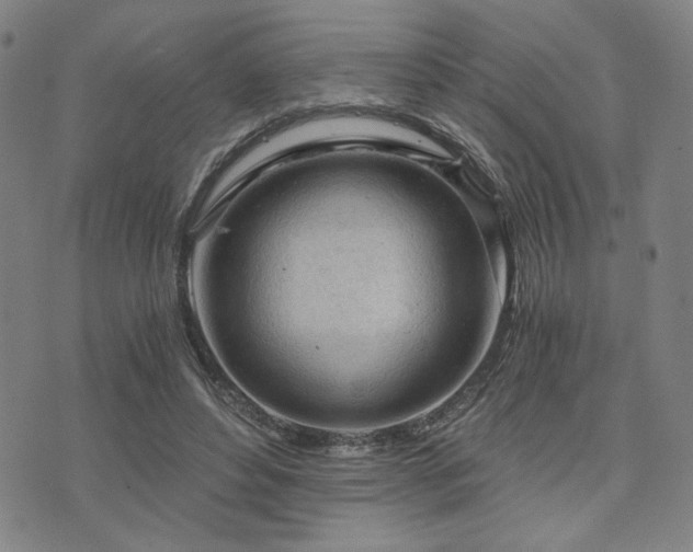 X0000073750496200608031433