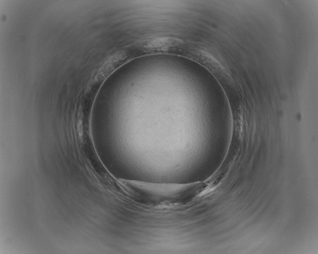 X0000073750504200608031433