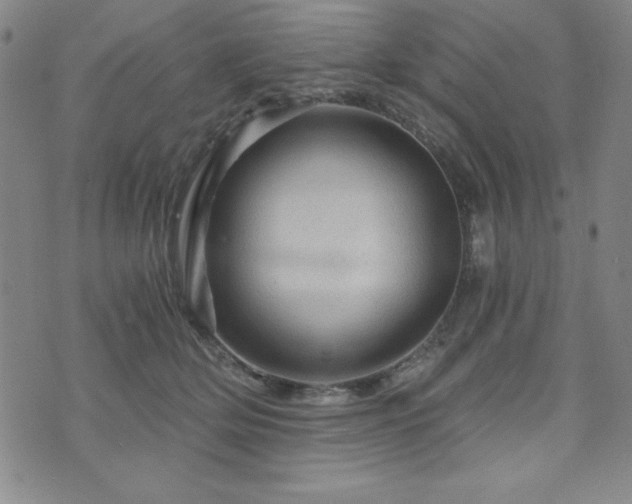 X0000073750514200608031433