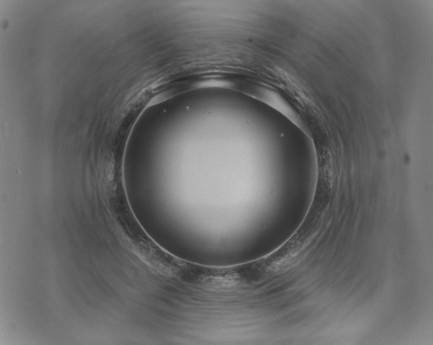 X0000073750548200608031432