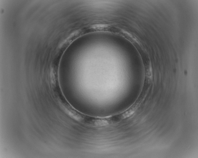 X0000073750572200608031432