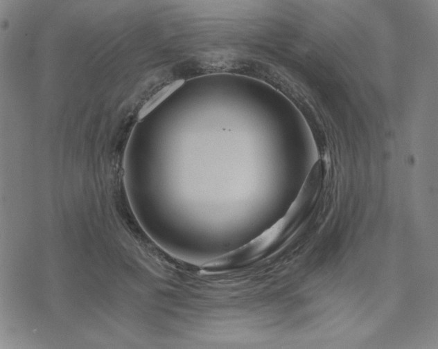 X0000073750601200608031431