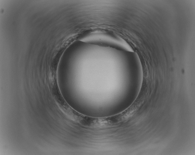 X0000073750607200608031431