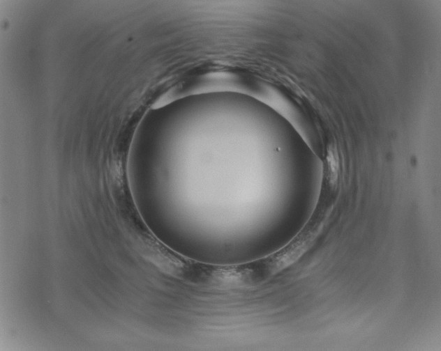 X0000073750613200608031431