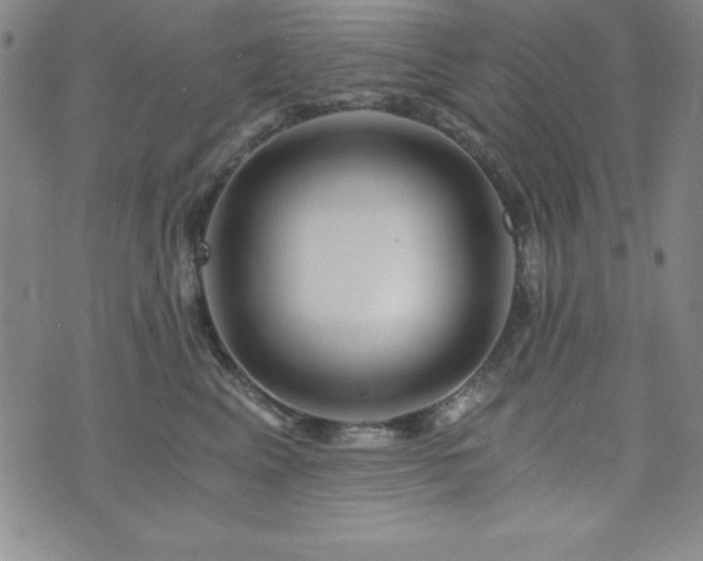 X0000073750617200608031431