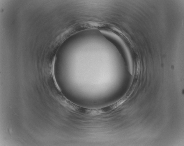 X0000073750621200608031431