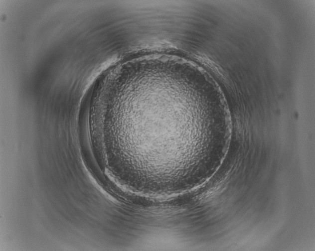 X0000073750630200608031430