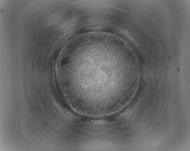 X0000073750645200608031430