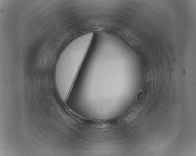 X0000073750646200608031430