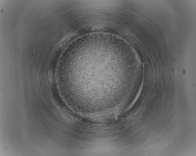X0000073750648200608031430