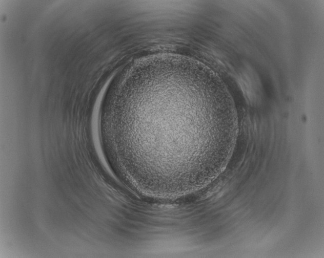 X0000073750649200608031430
