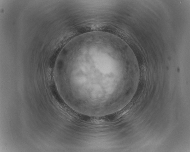 X0000073750650200608031430