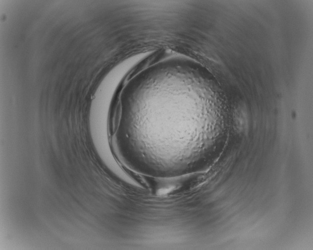 X0000073750657200608031430