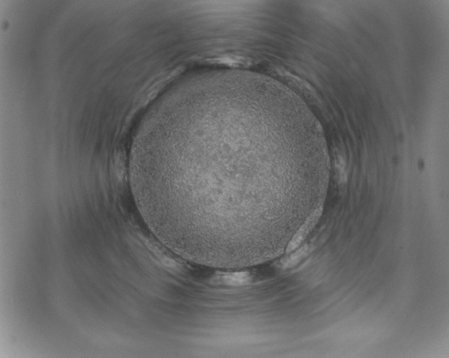 X0000073750665200608031430
