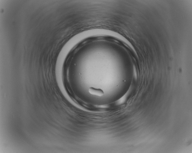 X0000073750671200608031431
