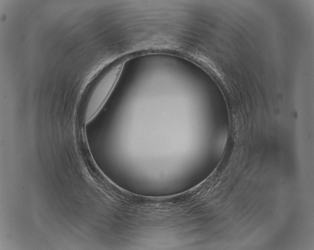 X0000073750680200608031430