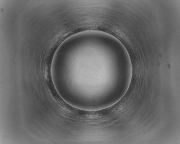 X0000073750693200608031429
