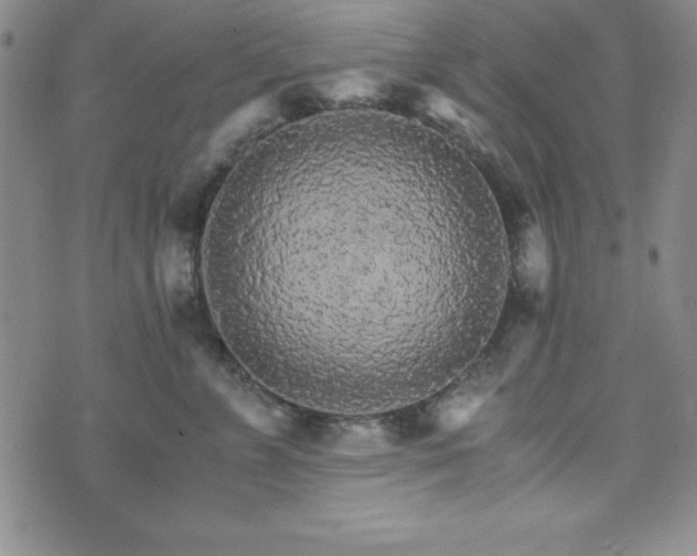 X0000073750715200608031429