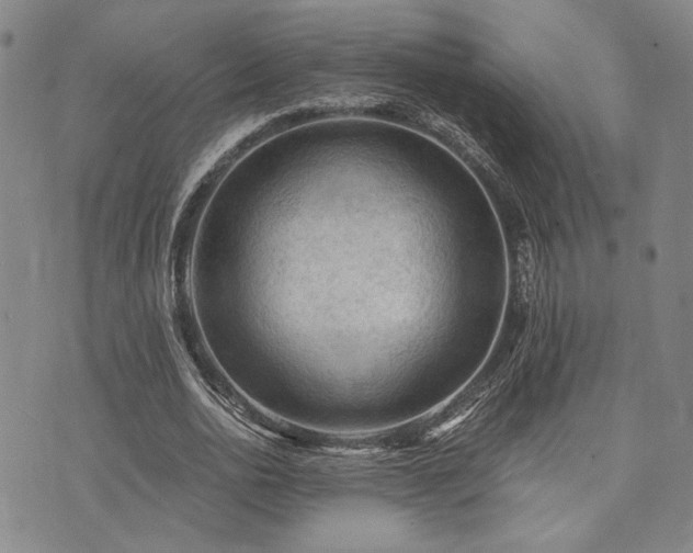 X0000073750726200608031428