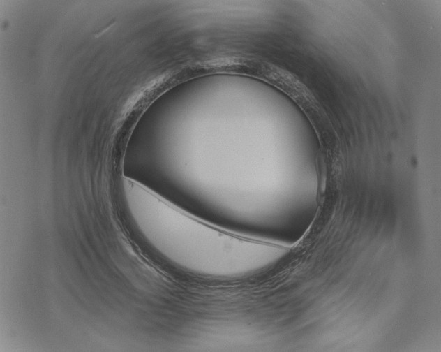 X0000073750732200608031428
