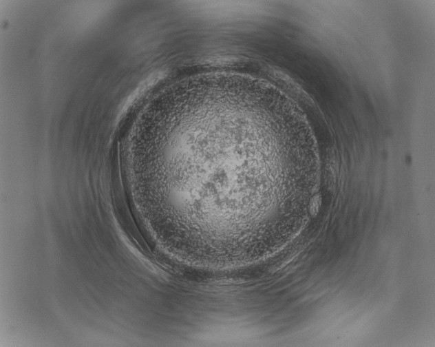 X0000073750734200608031428