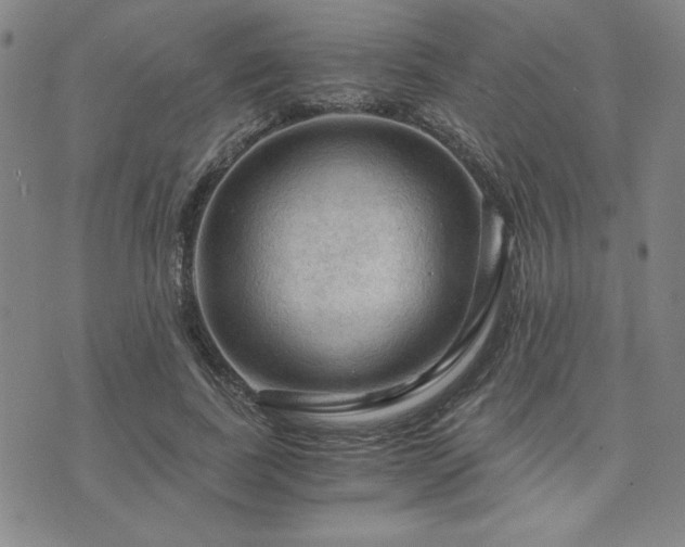 X0000073750739200608031429