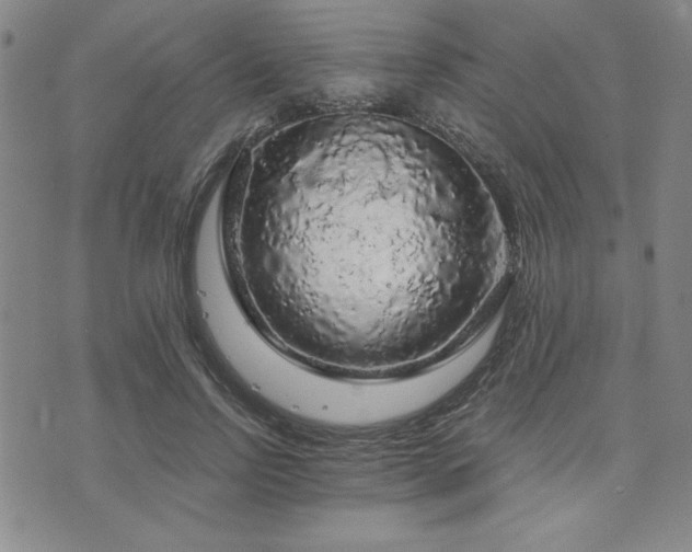 X0000073750742200608031429