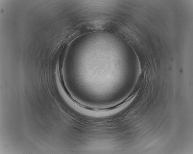 X0000073750747200608031429