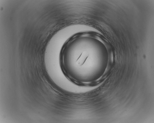 X0000073750752200608031429