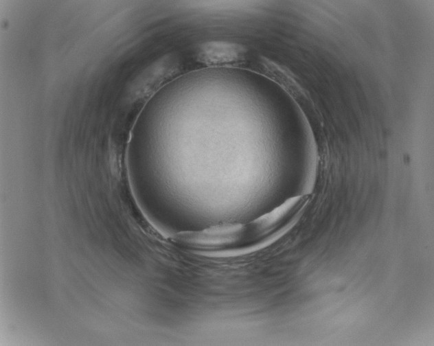X0000073750763200608031429