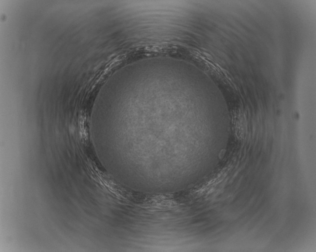 X0000073750770200608031428