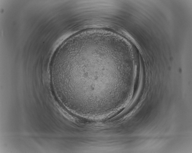 X0000073750787200608031428