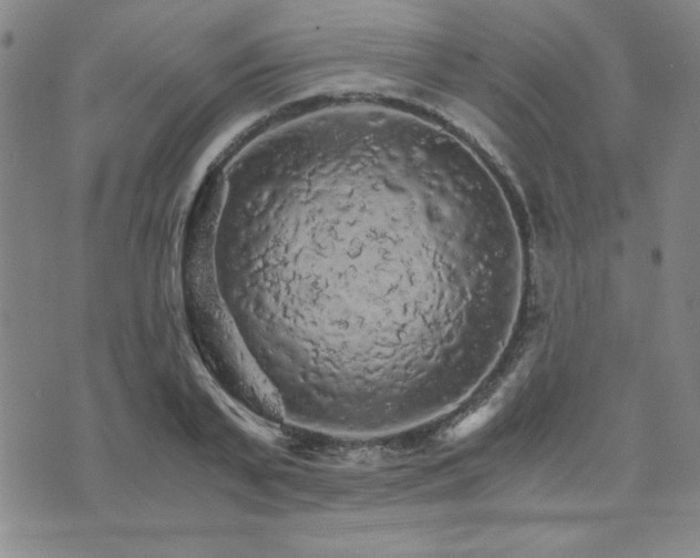 X0000073750791200608031428