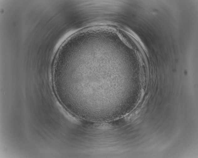 X0000073750811200608031428
