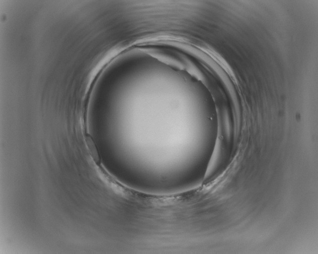 X0000073750813200608031428
