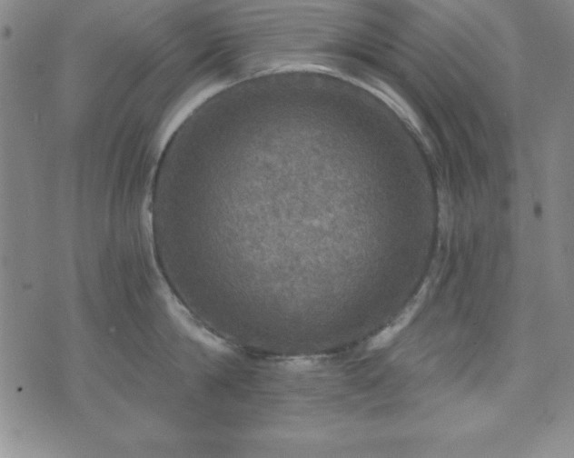 X0000073750814200608031427