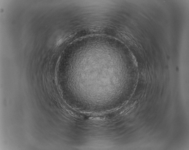 X0000073750817200608031427