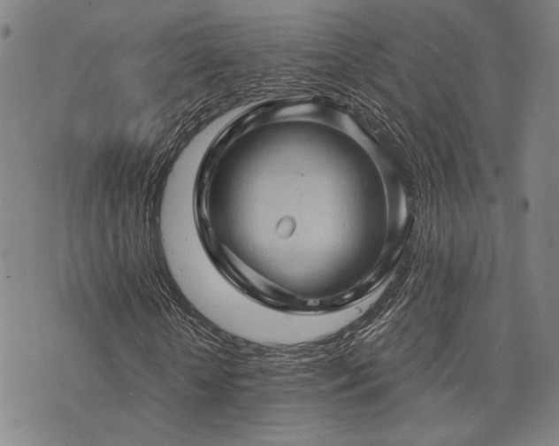 X0000073750818200608031427
