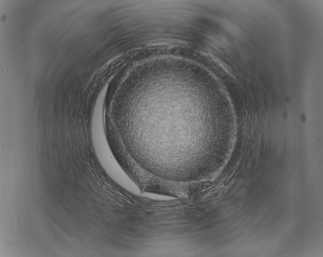 X0000073750821200608031427