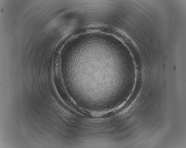 X0000073750825200608031427