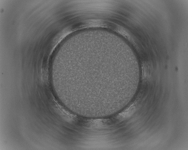 X0000073750828200608031427